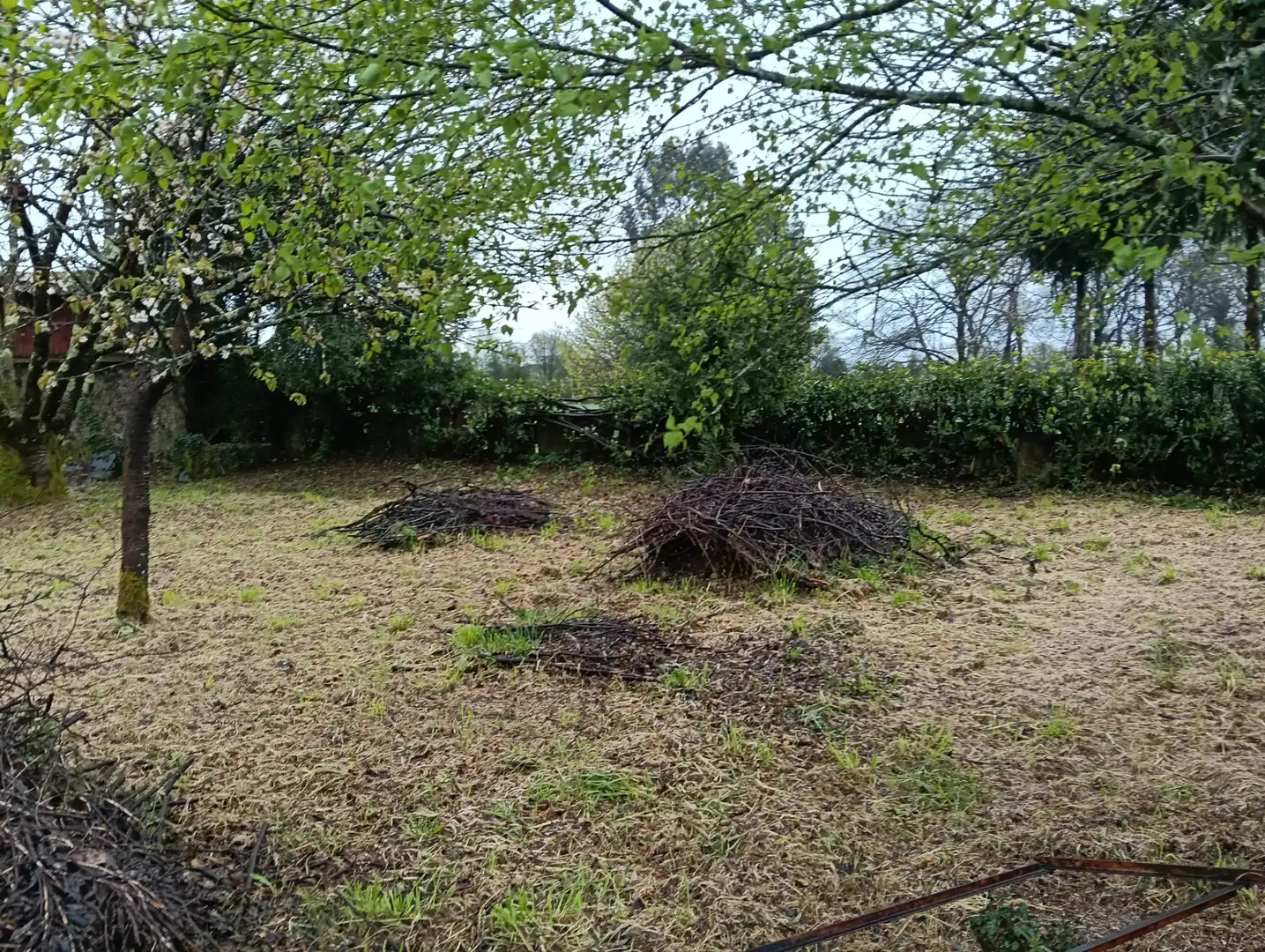 Adossat amb jardí en venda a Curtis, imagen 17