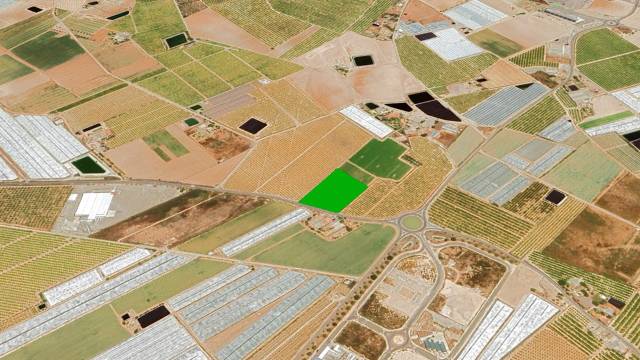 Terreno en Venta en Partida Torre de Aguado  en Dolores de Pacheco - Santa Rosalía