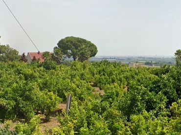 Terreno rustico in vendita a Plaça Poligono 15 248
