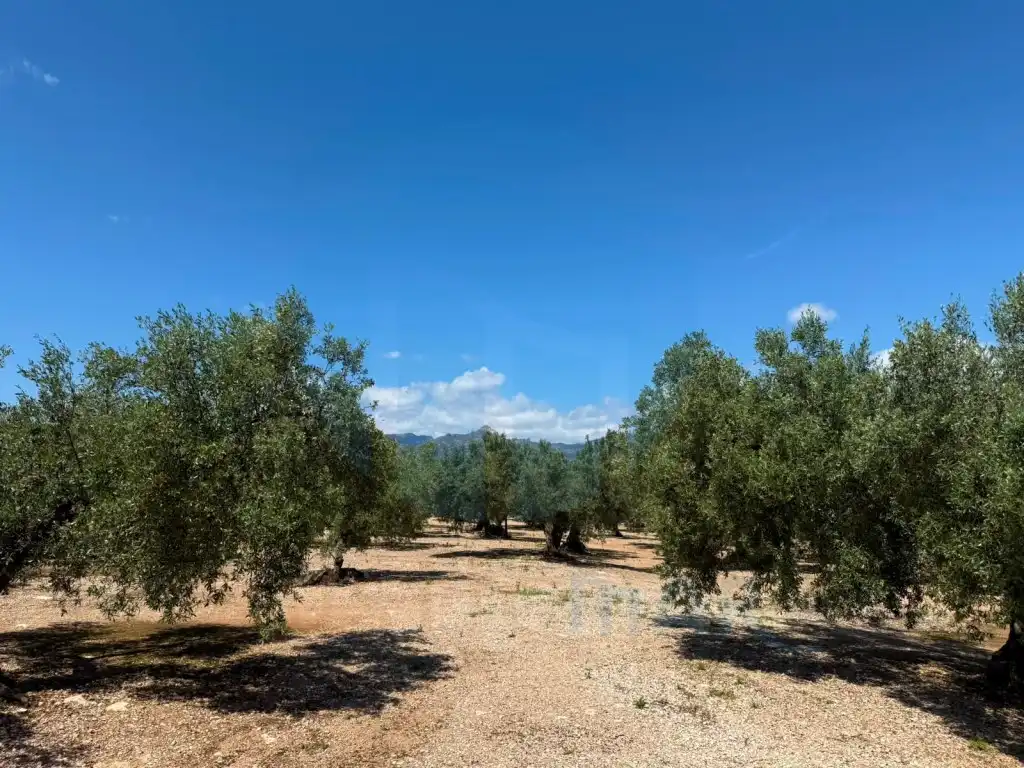 Finca rústica en venda en Mas de Barberans