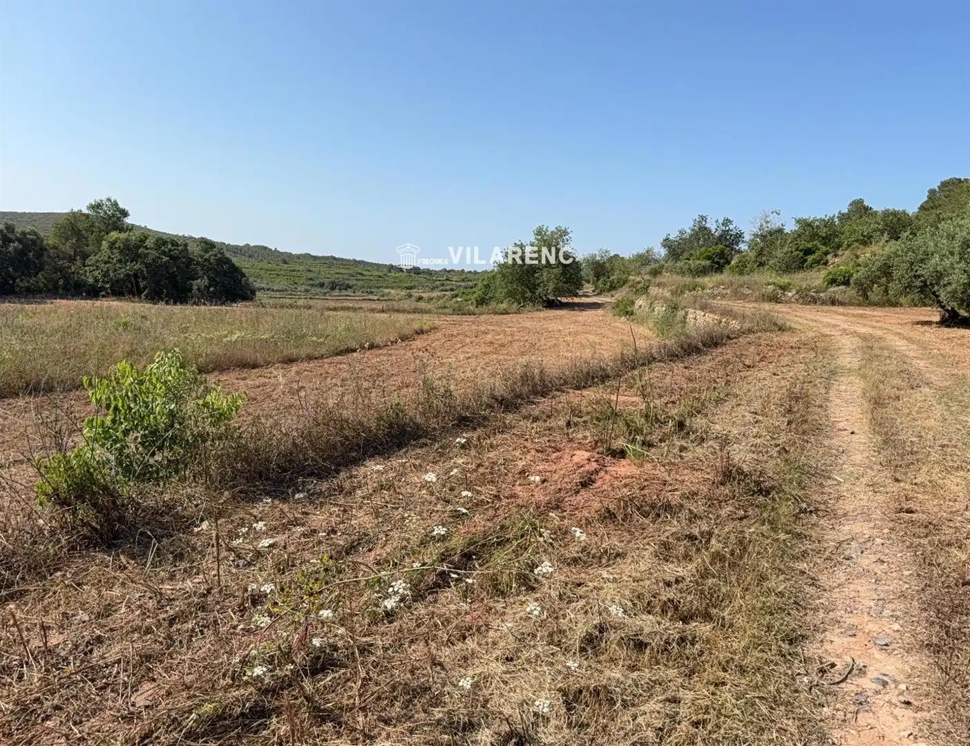 Rustikales Grundstück zum Verkauf in La Pobla de Montornès, imagen 3