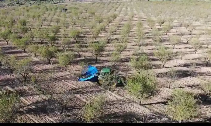 Finca rústica en venta en Yecla con Jardín privado