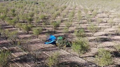 Foto 4 de Finca rústica en venda a Yecla, Murcia