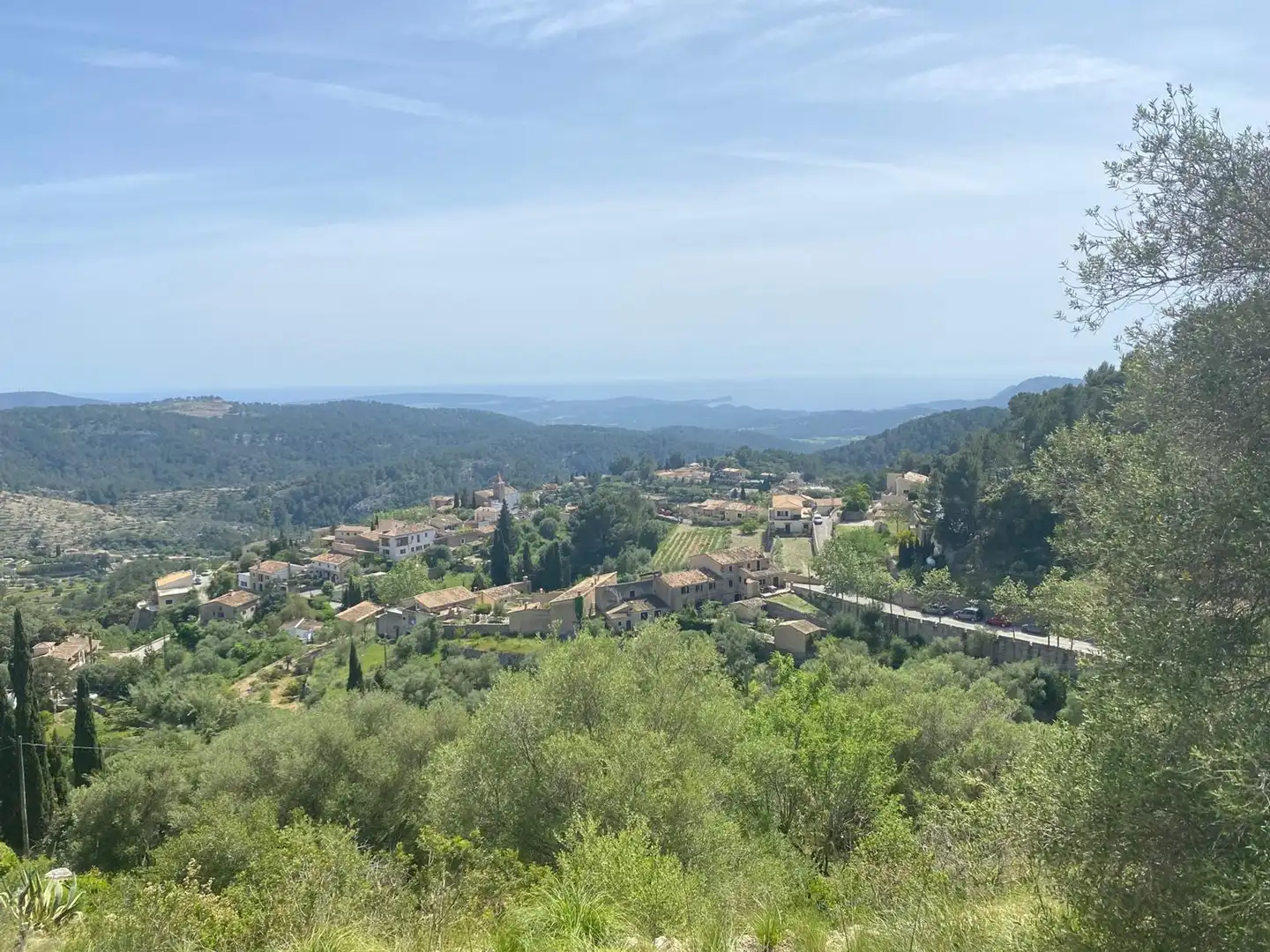 Wohnbaugrundstück zum Verkauf in Puigpunyent, imagen 22