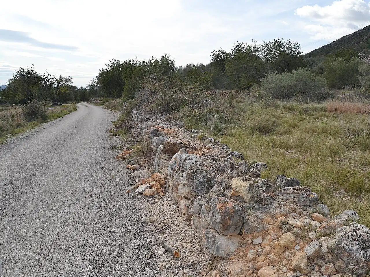 Terreny rústic en venda a Pont Godall/Dressera/Ermita, imagen 9