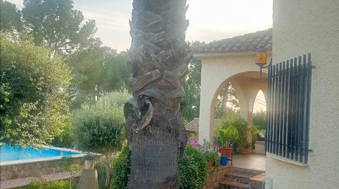 Photo 5 of House or chalet for sale in Pueblo, Valencia