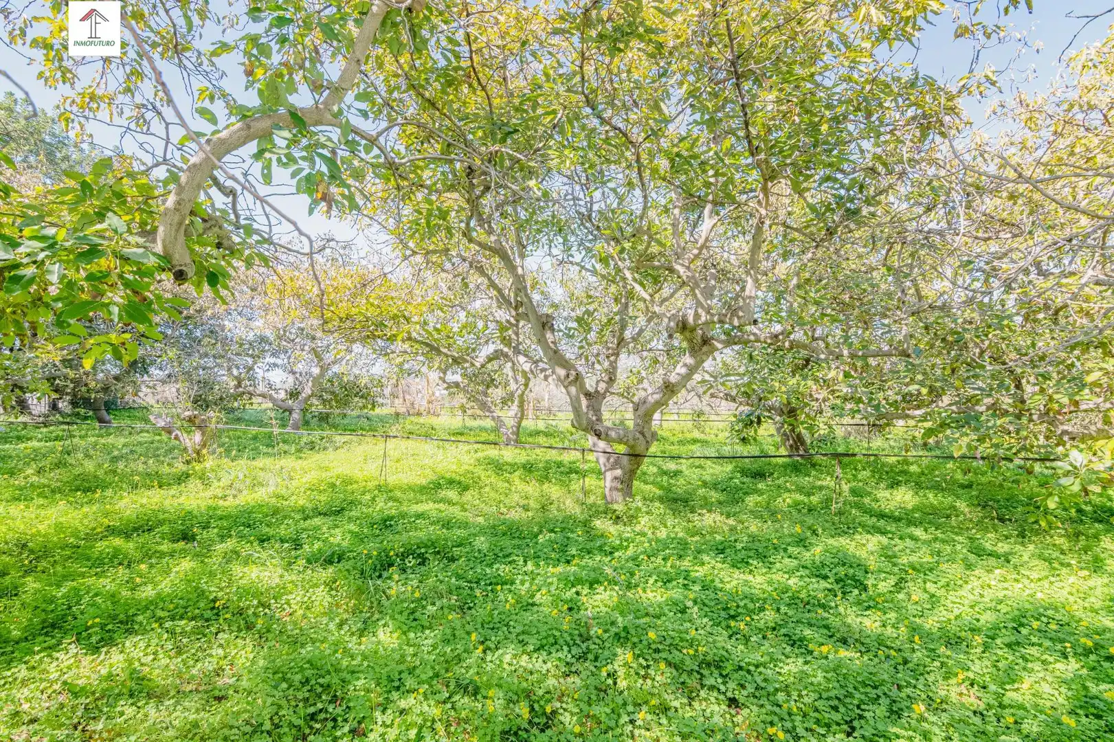 Casa o chalet en venta en Motril con Jardín privado, Terraza y Piscina
