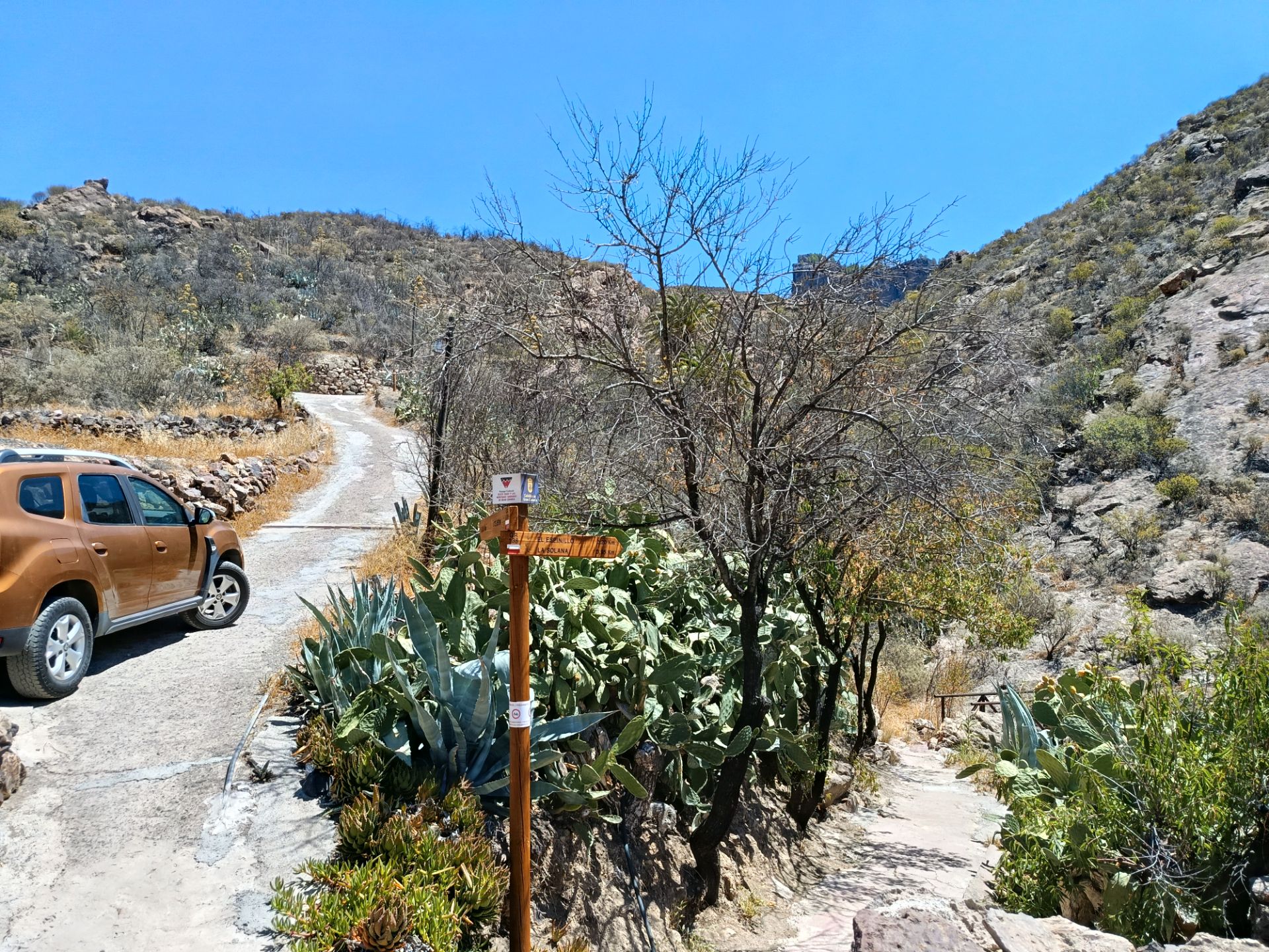 Vista exterior de Finca rústica en venta en Artenara con Amueblado