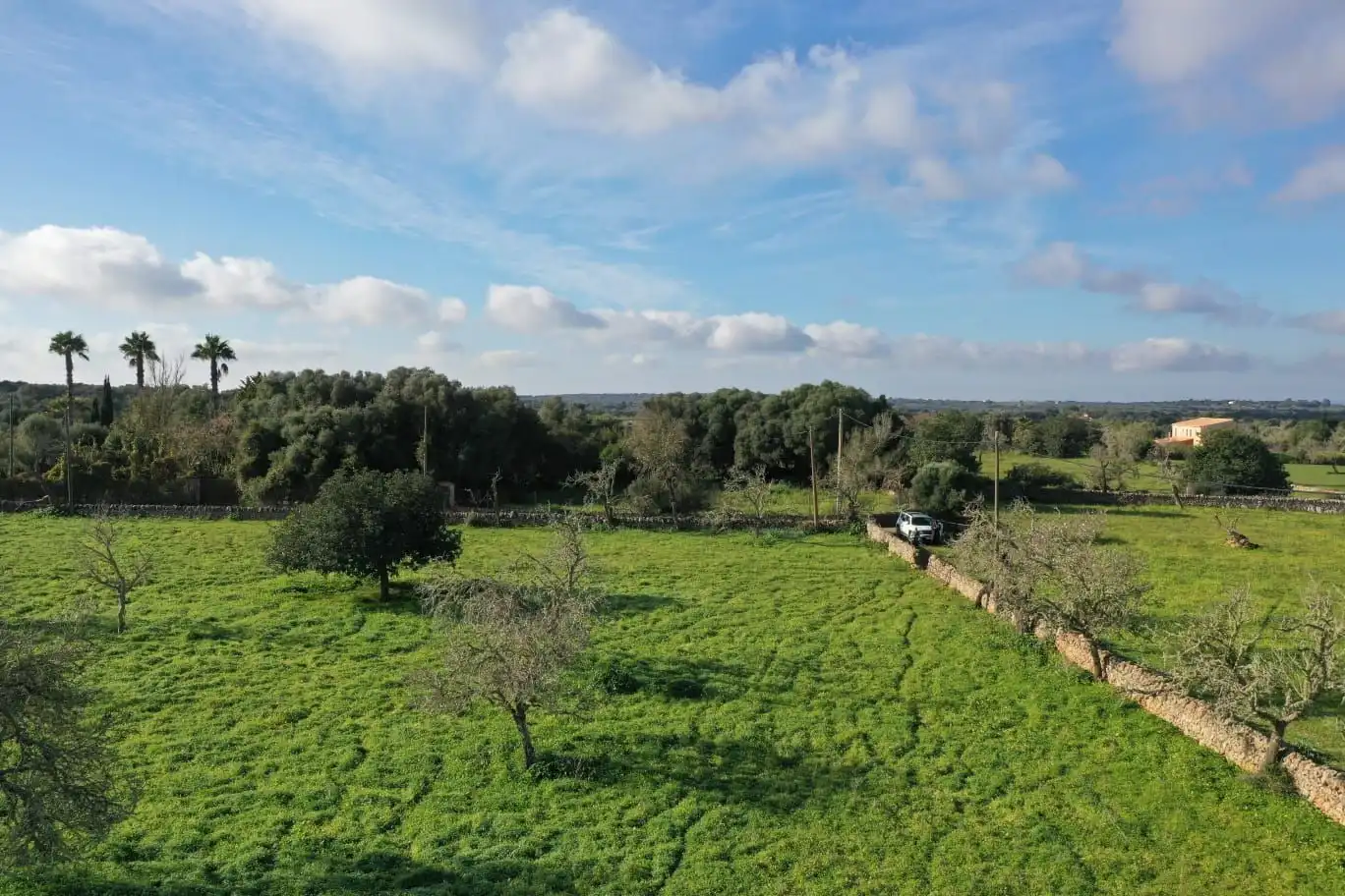 Rural land for sale in Cas Concos - Santanyí, imagen 3