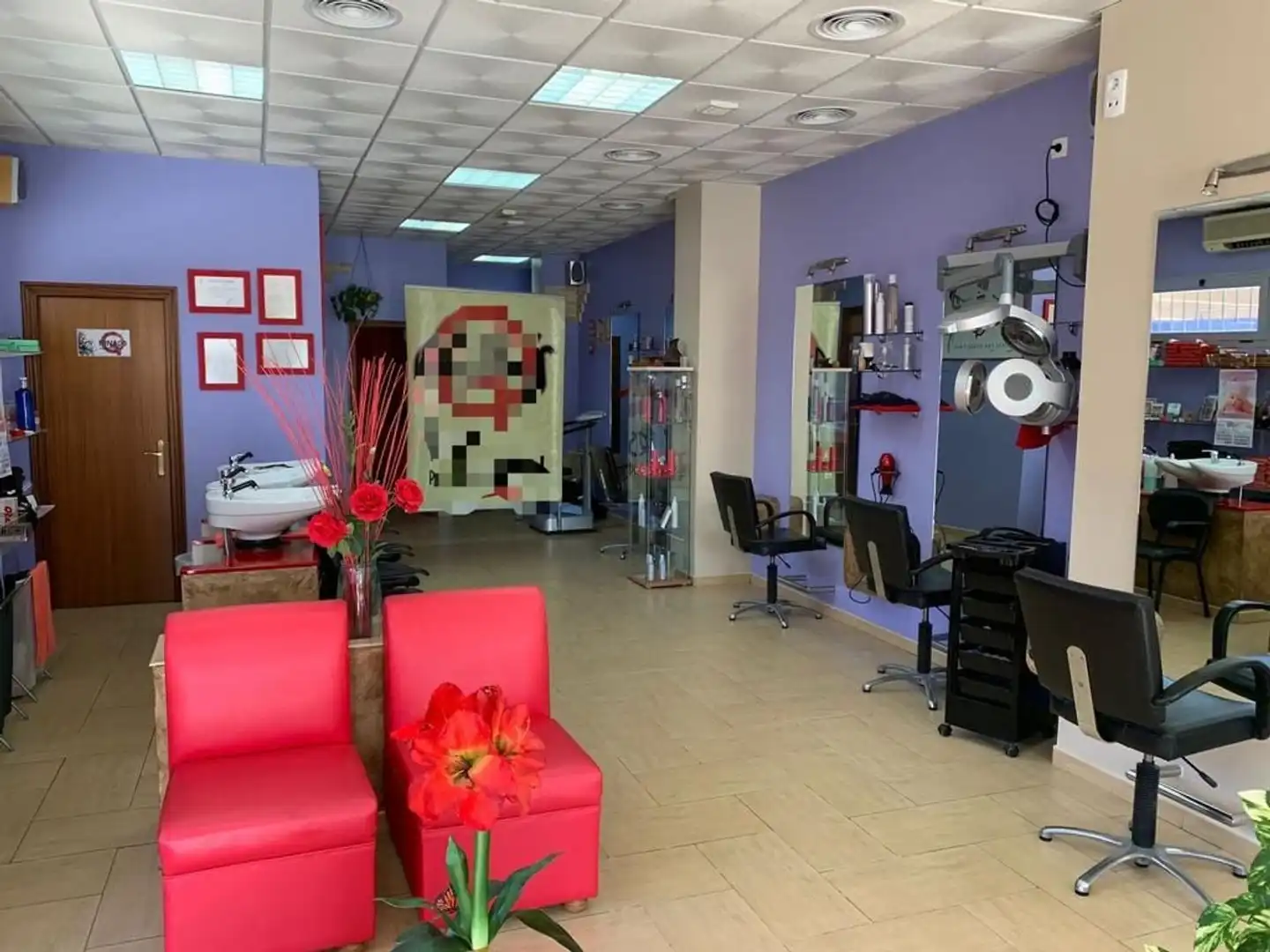 Gewerbefläche zum Verkauf in Centro - Doña Mercedes, imagen 13
