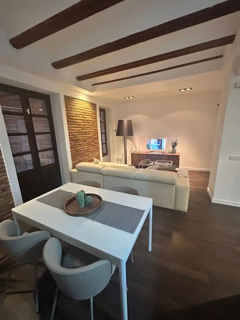 Sala d'estar de Pis de lloguer en Valencia amb Aire condicionat, Parquet i Balcó