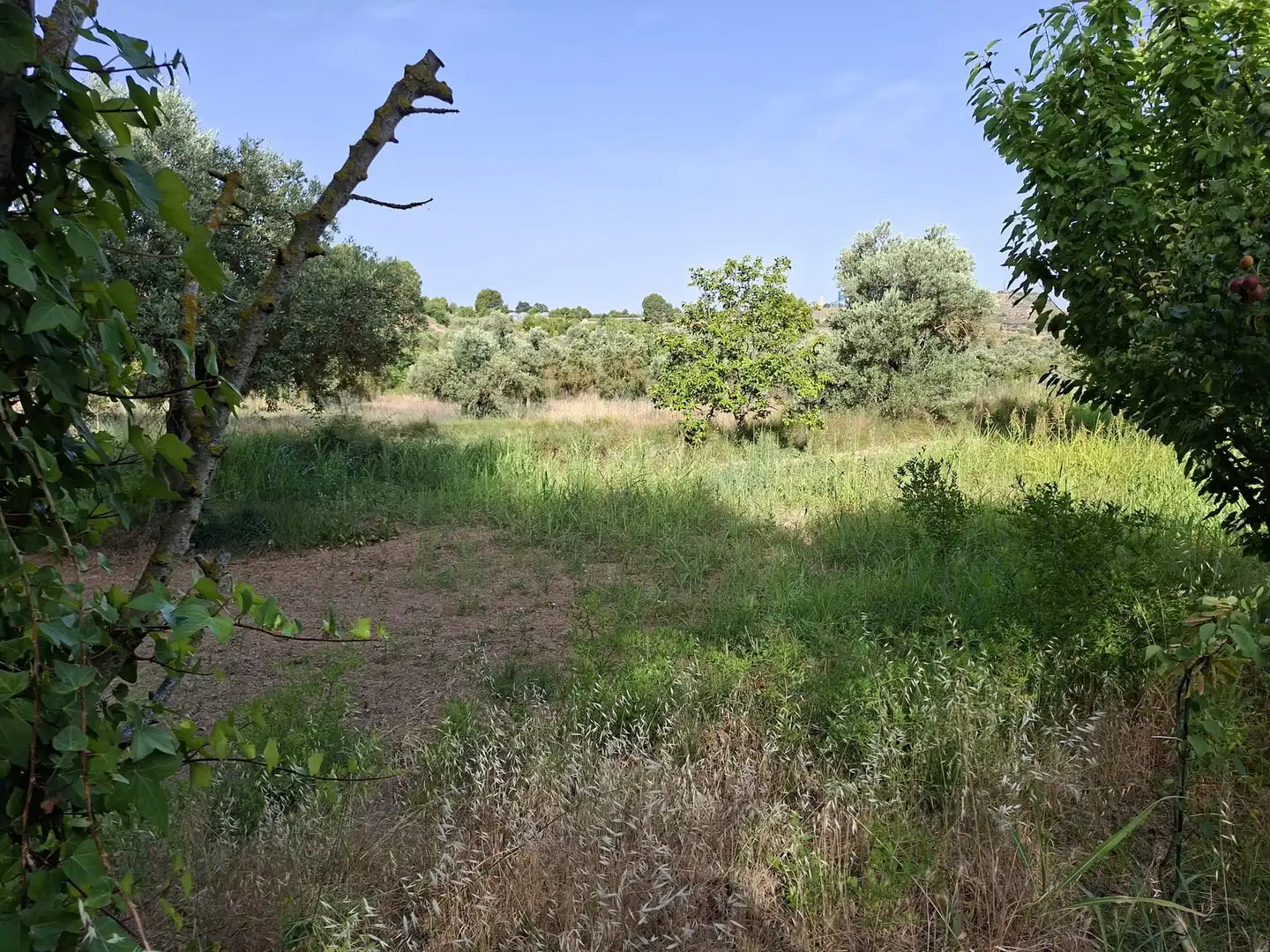Country homes for sale in Caspe  with Private garden, Swimming Pool and Furnished