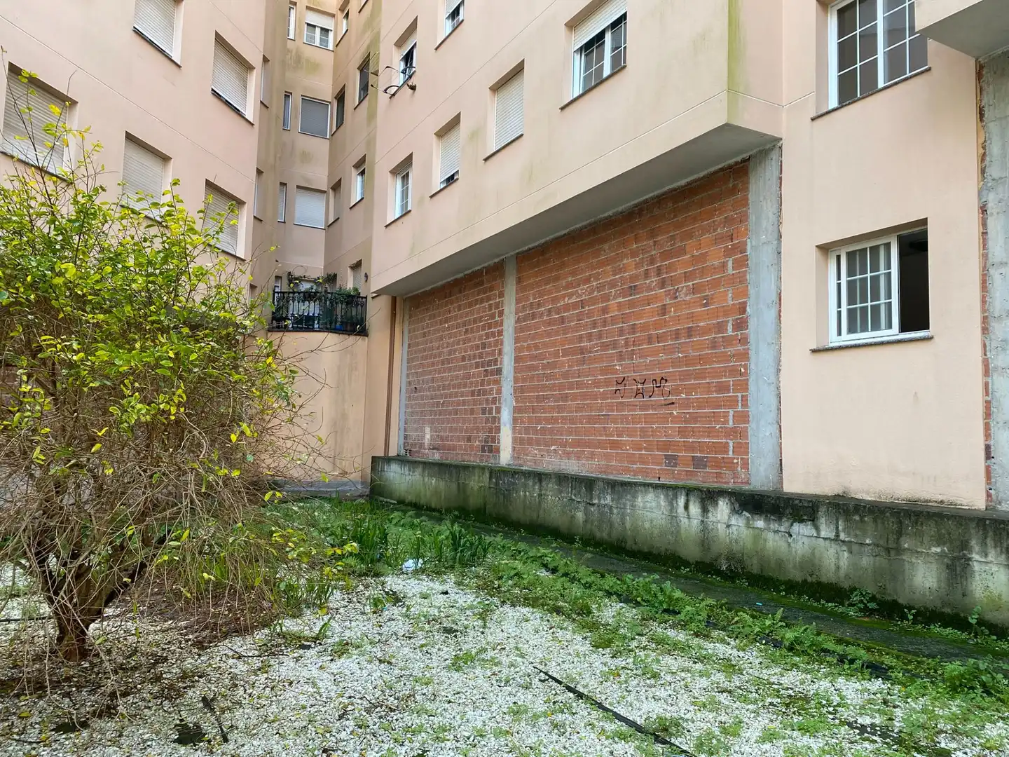 Local commercial à vendre à Cee, imagen 7