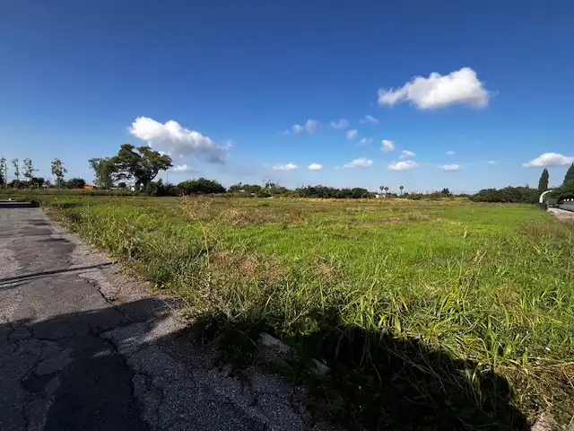 Rural land for sale in Carretera de la Donació, imagen 10