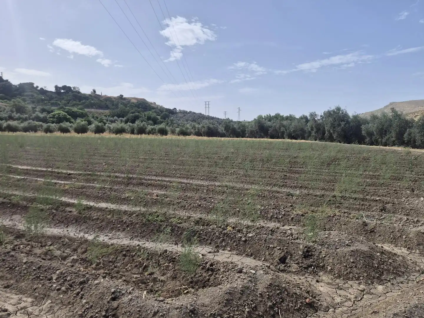 Terrain résidentiel à vendre à Loja, imagen 2