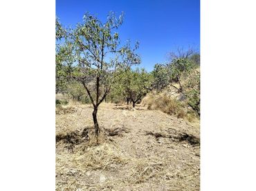 Rural land for sale in Paterna del Río