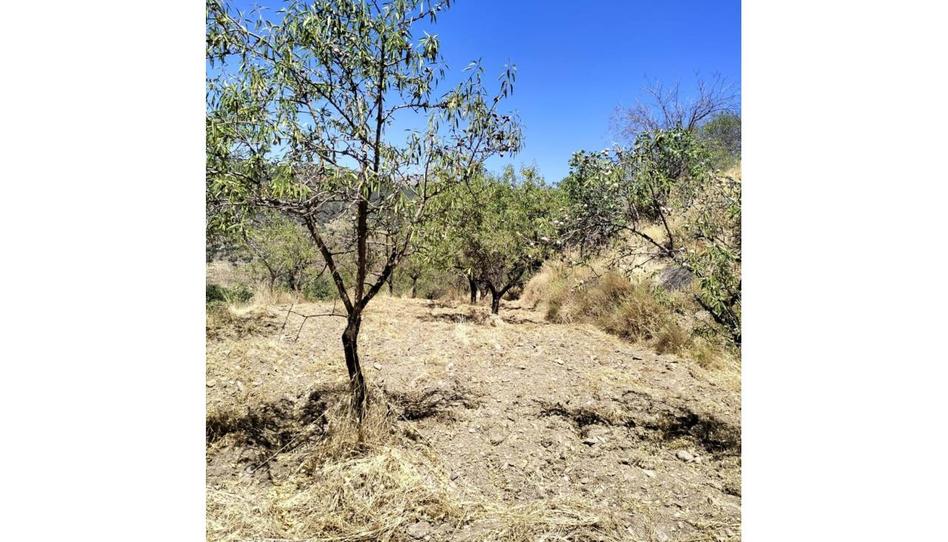 Photo 1 of Land for sale in Paterna del Río, Almería