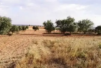 Residencial en venda en Buenache de Alarcón