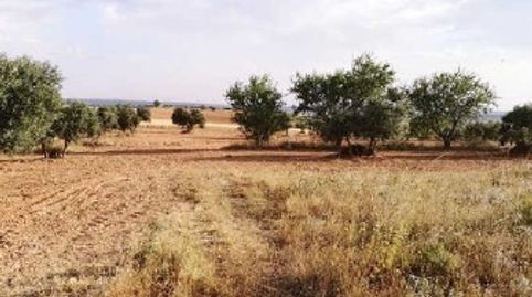 Foto 3 de Residencial en venda a Buenache de Alarcón, Cuenca