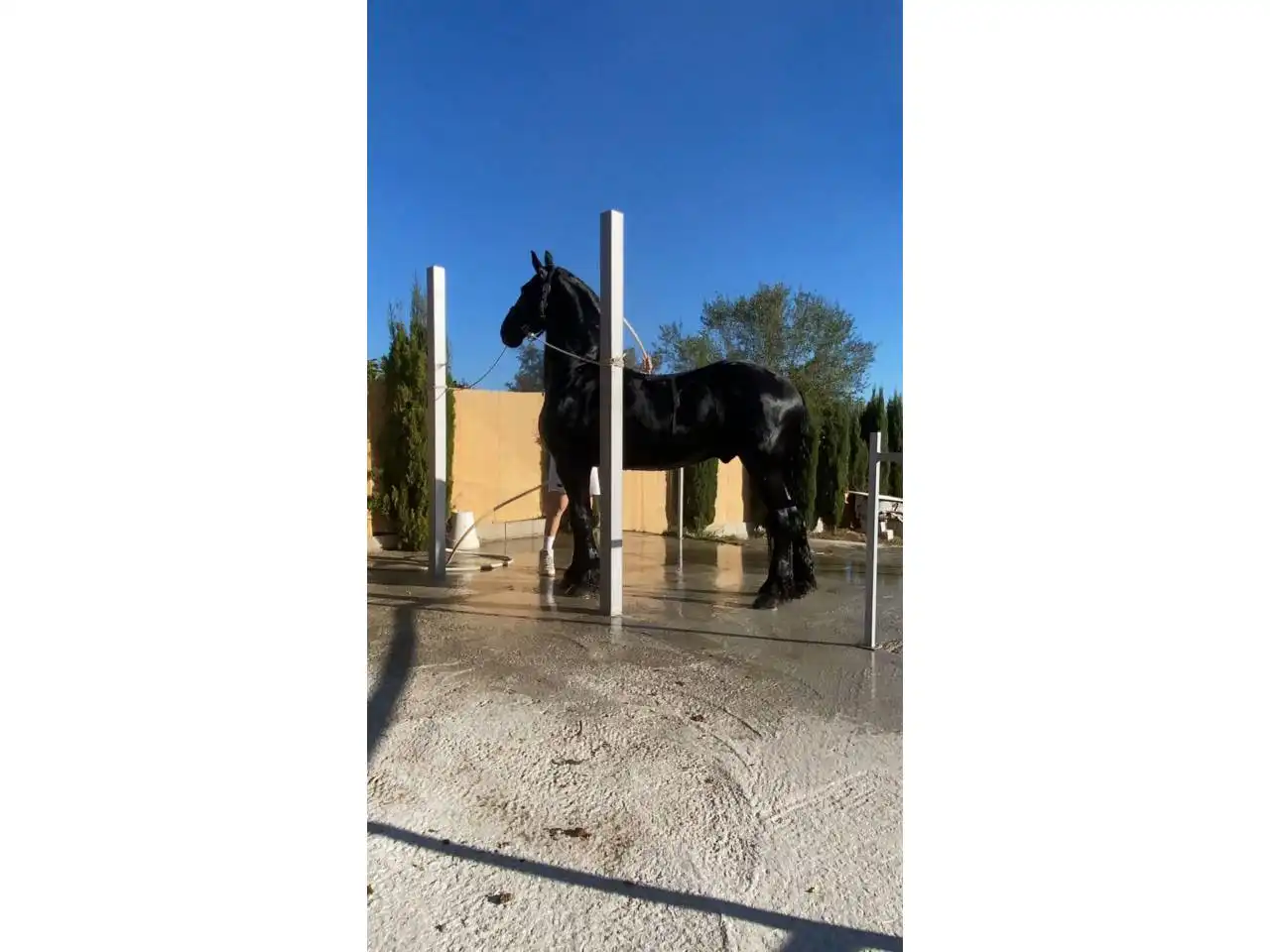 Vista exterior de Casa o chalet en venta en Estepona con Calefacción, Jardín privado y Terraza