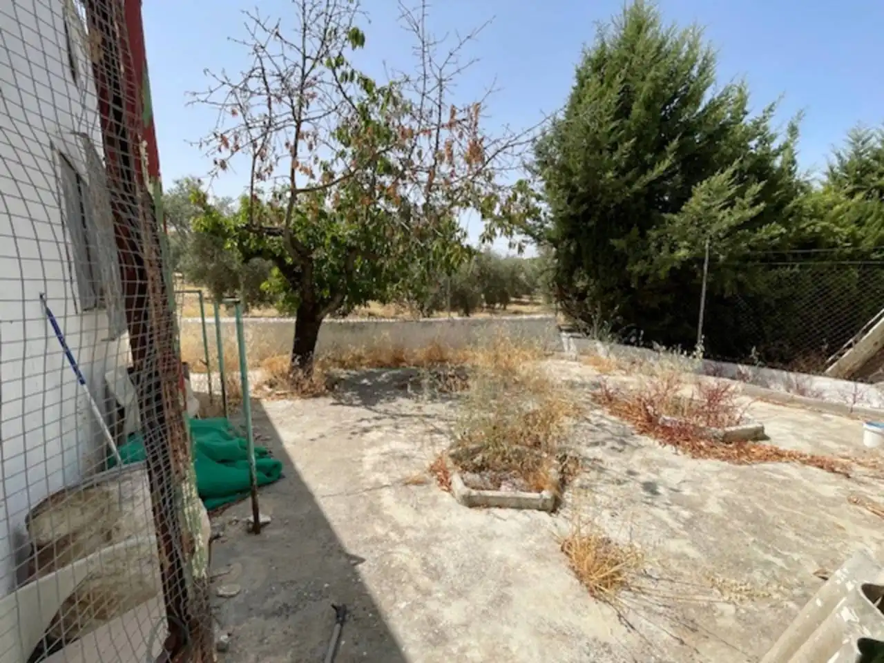 Casa o chalet en venta en Lucena con Terraza y Piscina