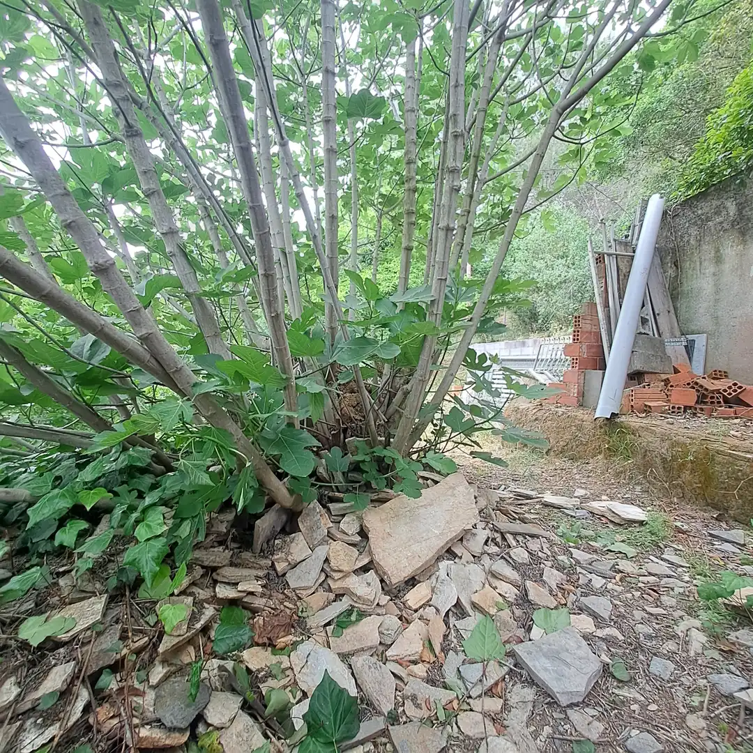 Garten von Country house zum Verkauf in Castellbisbal mit Klimaanlage, Privatgarten und Alarm