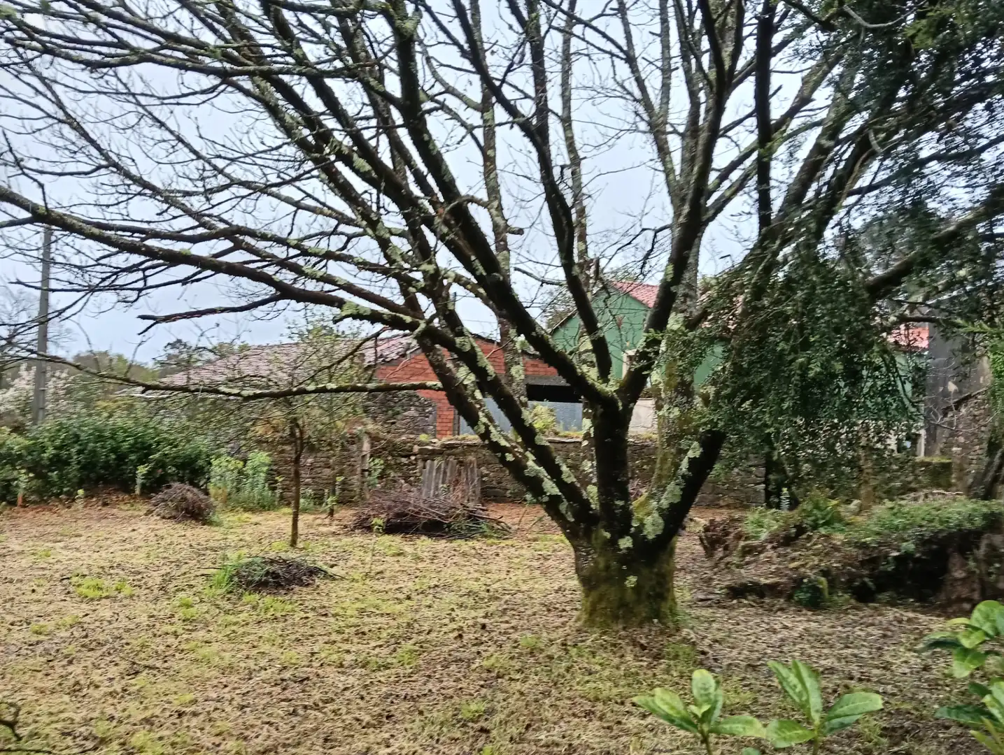 Adossat amb jardí en venda a Curtis, imagen 31