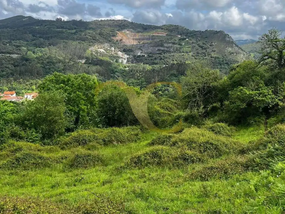 Terreny rústic en venda a Andinas