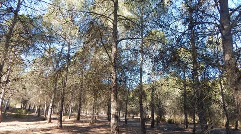 Foto 5 de Residencial en venta en El Pilar, Valencia