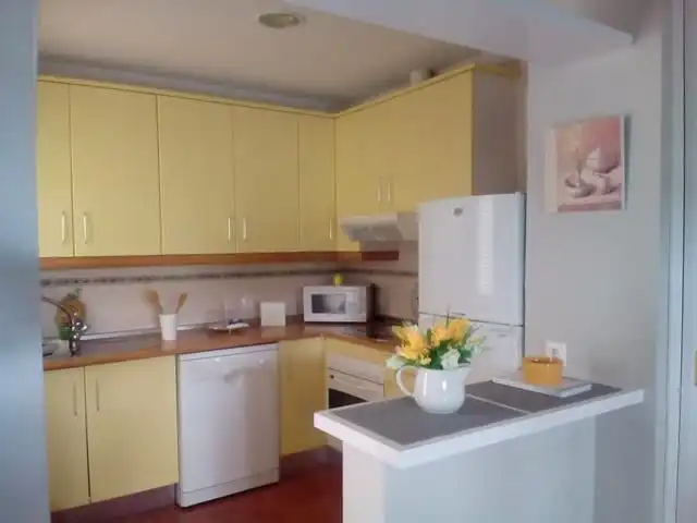 Flat with pool to rent in Avenida Reina Sofía 1, imagen 24