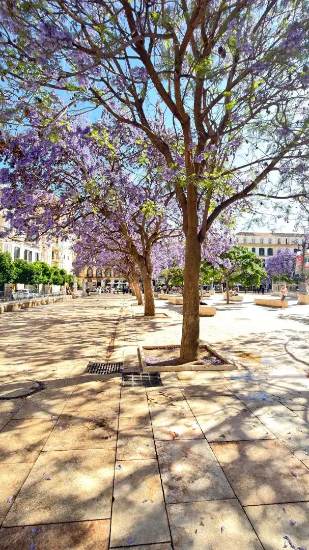 Exterior view of Flat for sale in Málaga