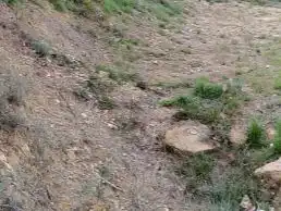 Wohnbaugrundstück zum Verkauf in Narcís Oller 16, imagen 5