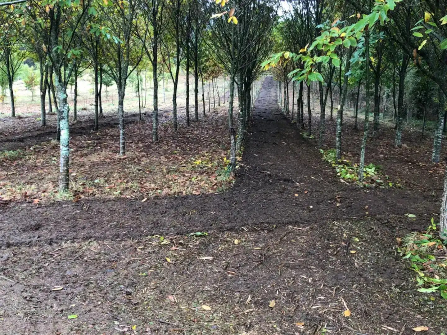 Terreno en venta en Trazo