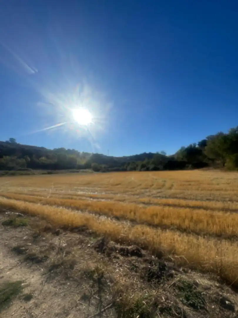 Terreny rústic en venda a Los Santos de la Humosa, imagen 5