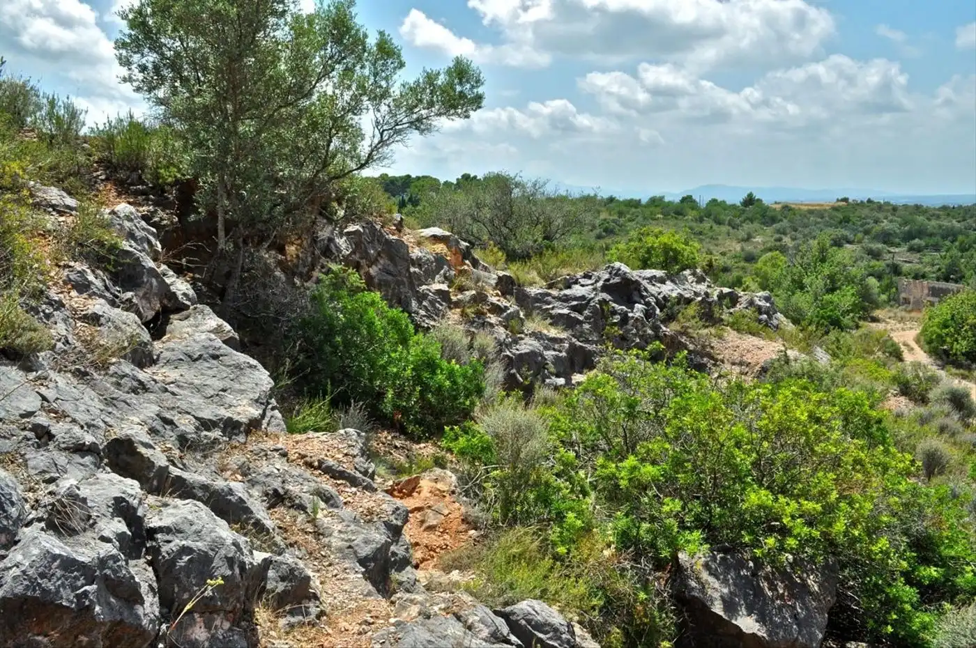 Land for sale in Camí del Barranc de la Llet, 26, Sant Llàtzer