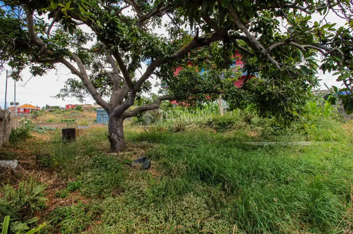 Terreno residencial en venta en El Sauzal, imagen 14