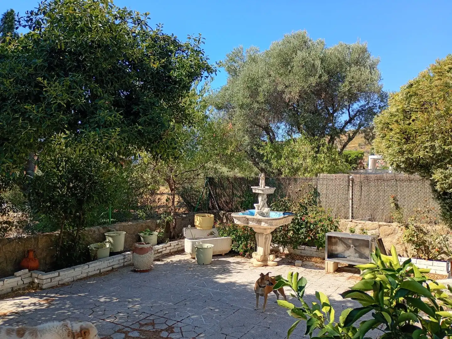Terrassa de Casa o xalet en venda en Cebreros amb Terrassa i Balcó