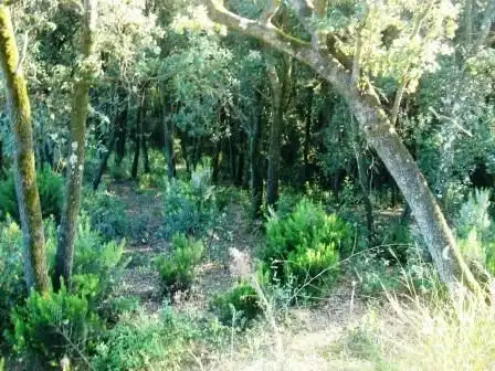 Terrenys i solars en venda a Gualba, imagen 5