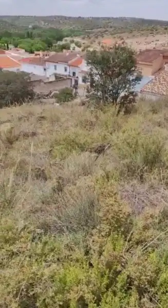 Terreni e lotti in vendita a Ruidera, imagen 4
