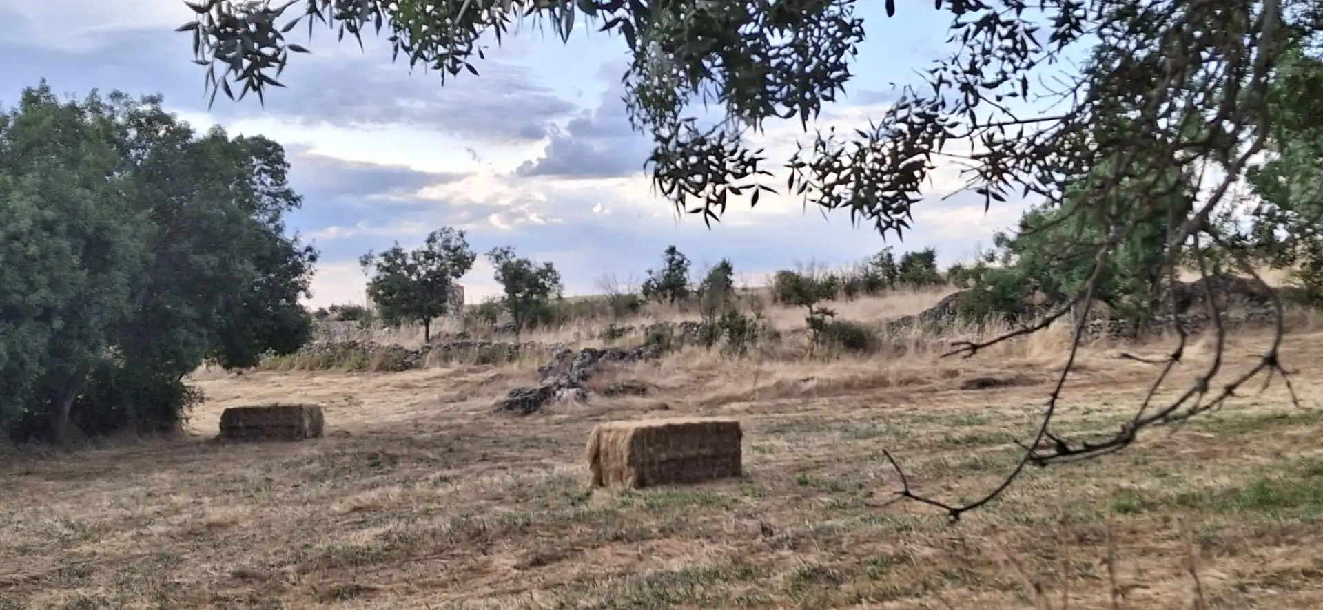 Residencial en venda a Carretera TUREGANO, Torrecaballeros
