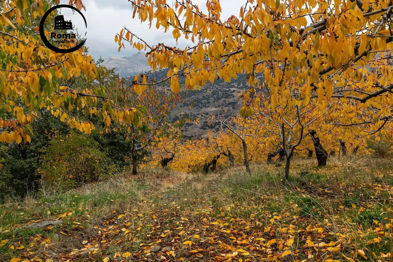 Rural land for sale in Güéjar Sierra, imagen 12