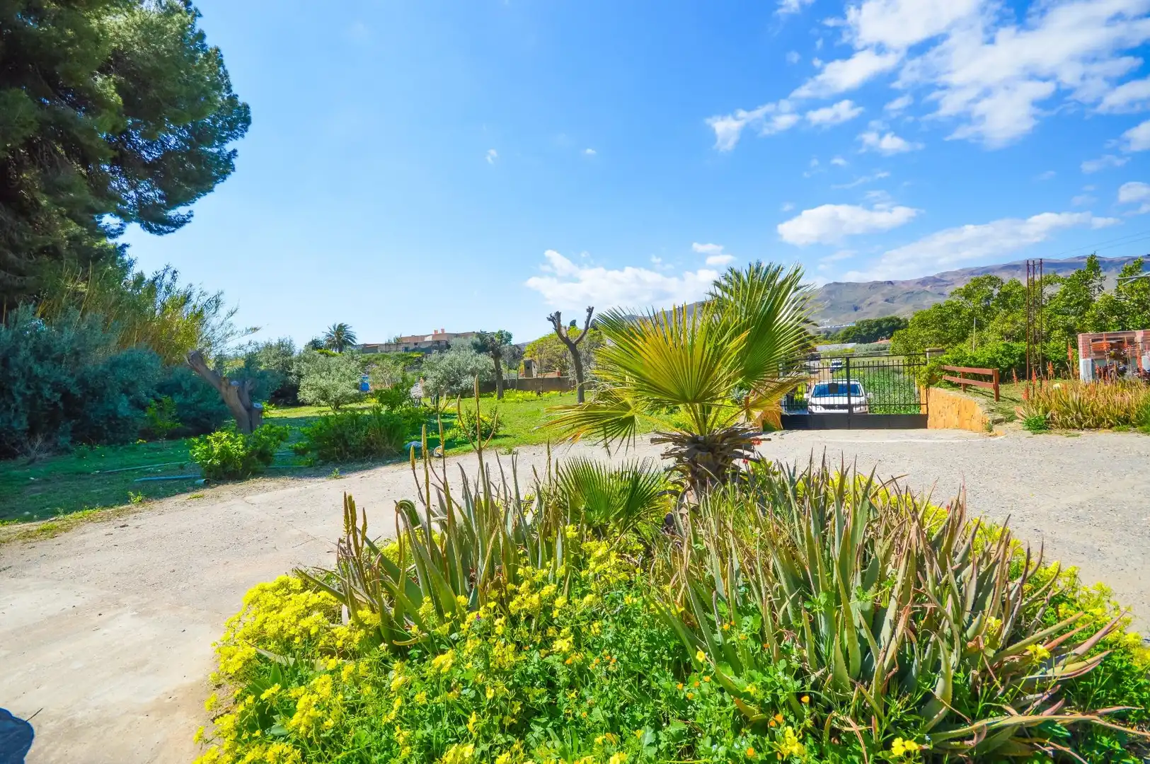Jardí de Finca rústica en venda en Pechina amb Aire condicionat, Jardí privat i Terrassa