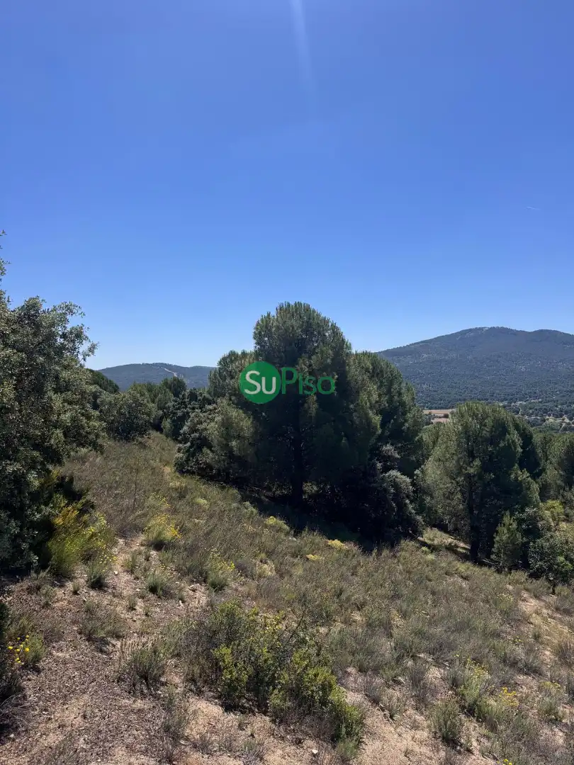 Casa o xalet en venda en San Martín de Valdeiglesias amb Jardí privat