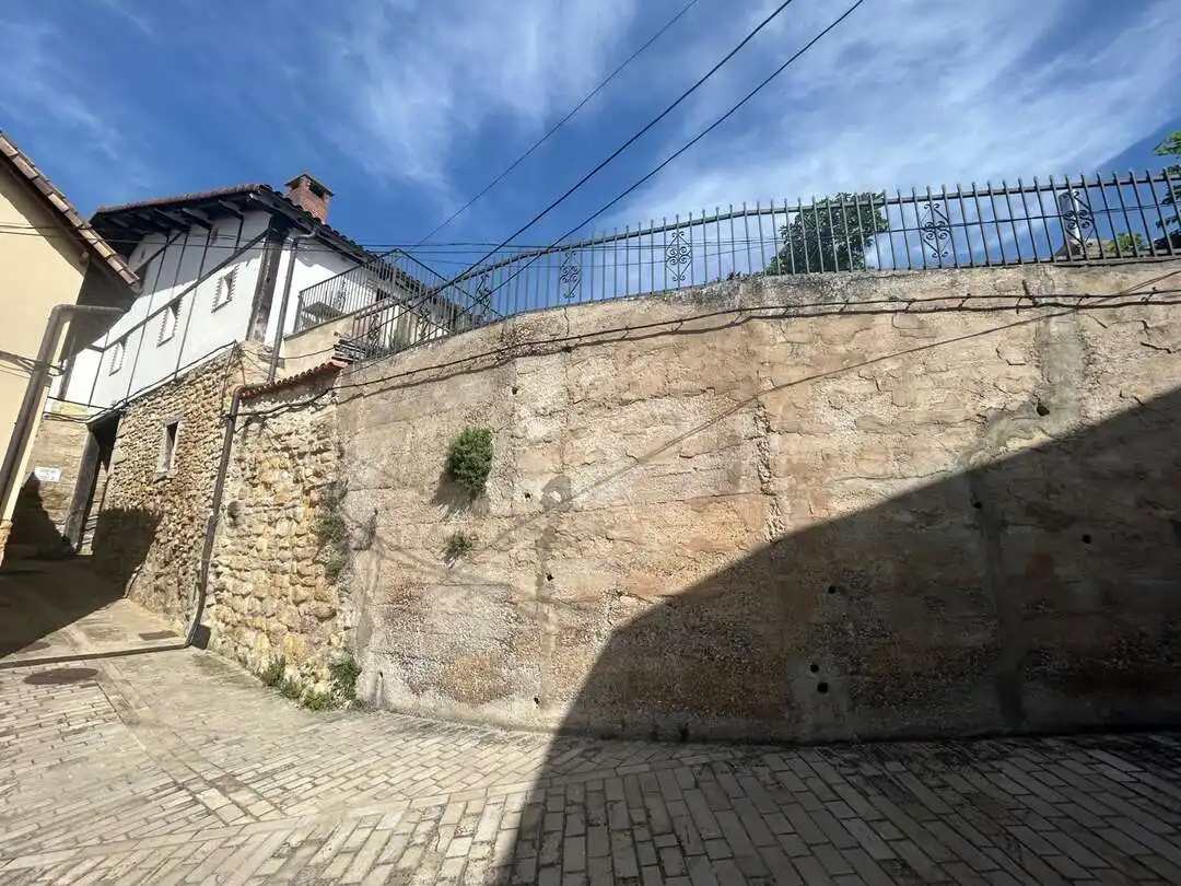 Vista exterior de Casa o chalet en venta en Añana con Calefacción, Jardín privado y Terraza