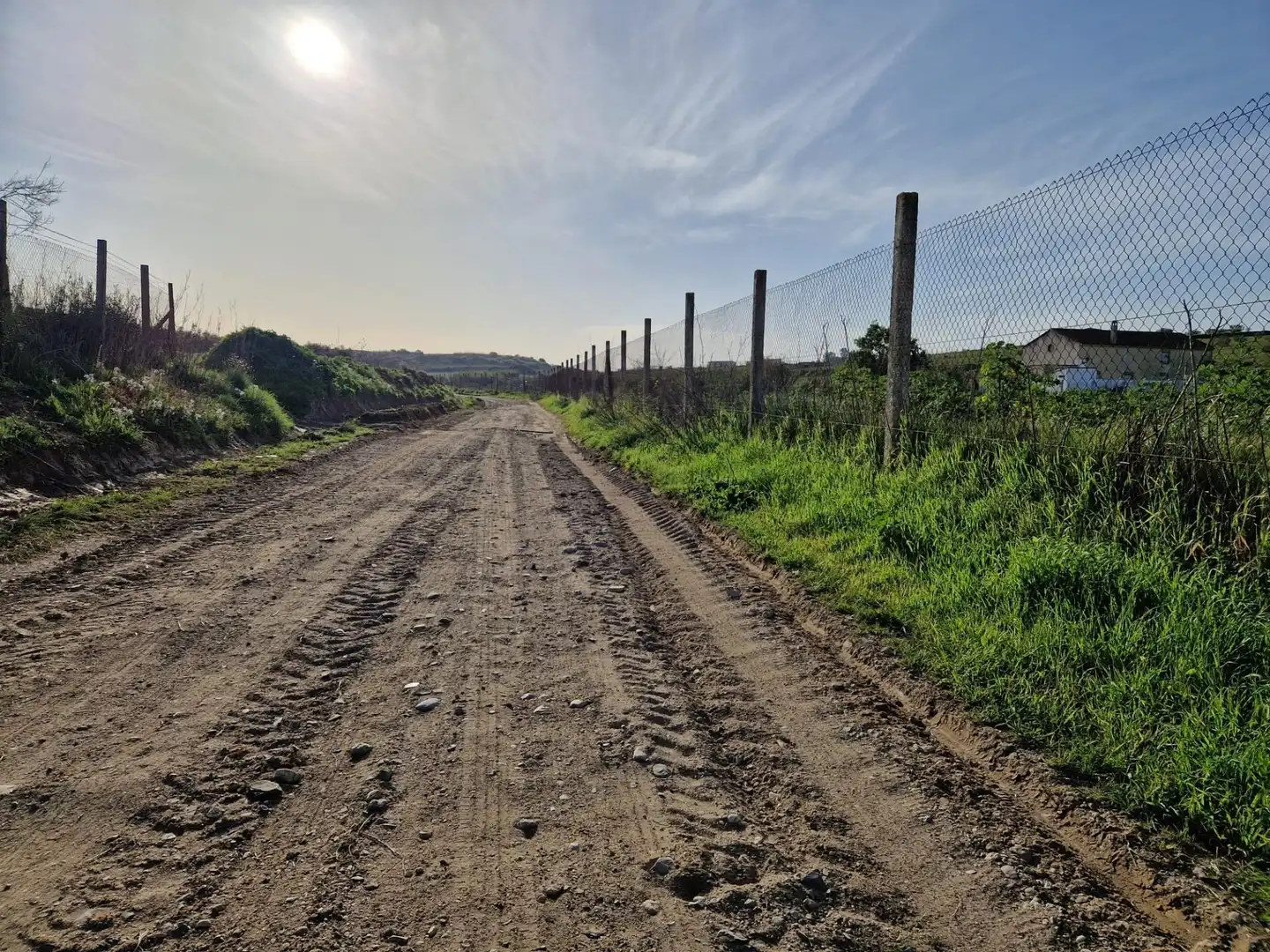 Terreno rustico in vendita a Moguer, imagen 2