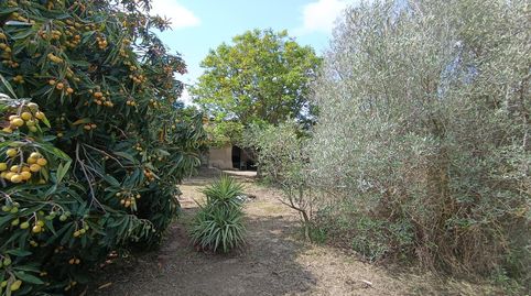 Foto 5 de Casa o chalet en venta en Alguazas, Murcia