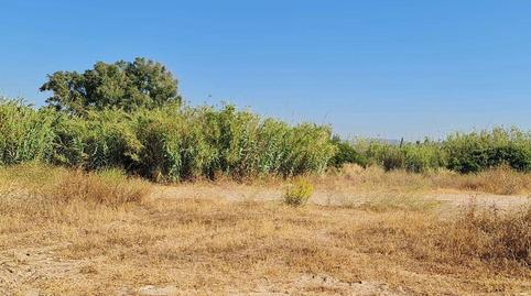 Photo 3 of Residential for sale in Dehesa del Acebuchal, 14, El Rinconcillo, Cádiz