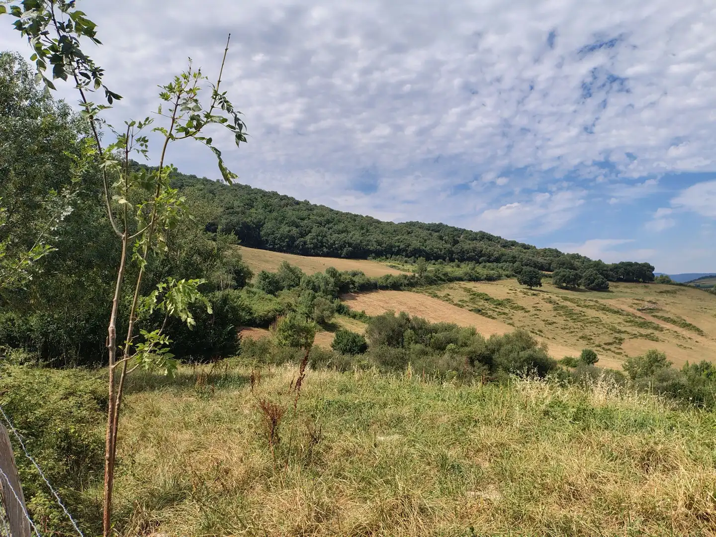 Finca rústica en venda en Urduña / Orduña