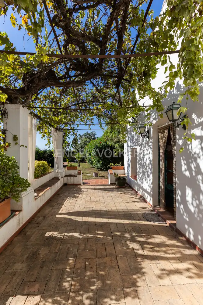 Vista exterior de Casa o chalet en venta en Vinaròs con Calefacción, Jardín privado y Terraza