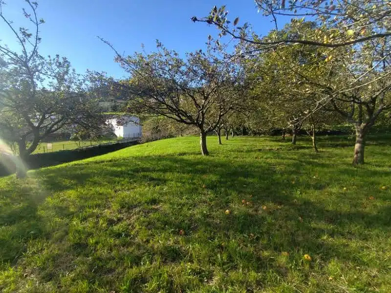 Residential for sale in Proaza, Asturias